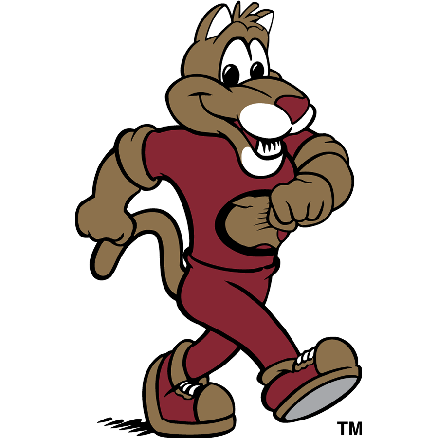 College of Charleston Cougars 1997-2003 Mascot Logo v2 diy iron on heat transfer